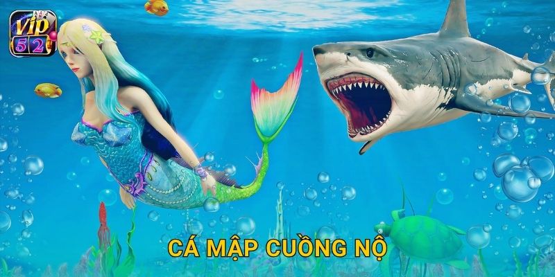 Cá Mập Cuồng Nộ – Đối đầu kẻ săn mồi khổng lồ tại Vip52 19 Cá Mập Cuồng Nộ – Đối đầu kẻ săn mồi khổng lồ tại Vip52